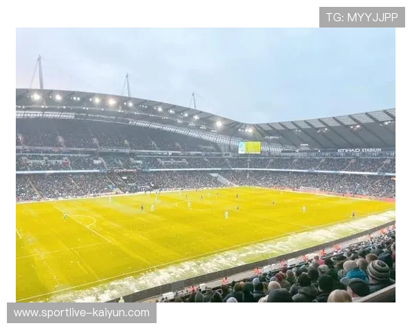 冰雪天气威胁英超多场比赛,延期风险加剧